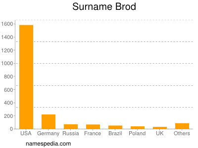 Surname Brod