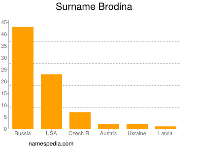 Familiennamen Brodina