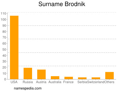 Familiennamen Brodnik