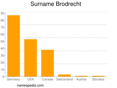 Surname Brodrecht