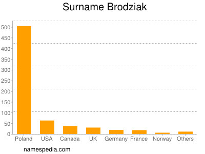 Familiennamen Brodziak