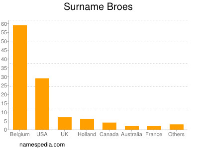 Surname Broes