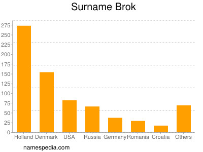 Surname Brok