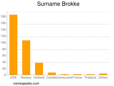 Surname Brokke