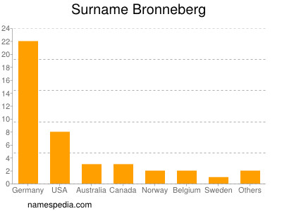 Familiennamen Bronneberg