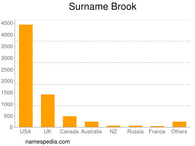 Surname Brook