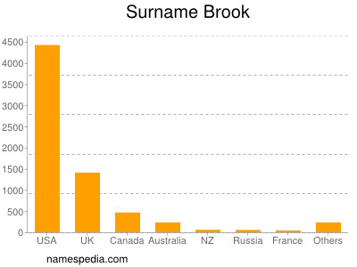 Familiennamen Brook
