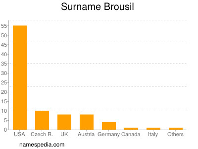 Familiennamen Brousil