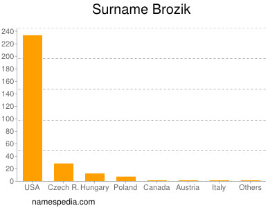 Familiennamen Brozik