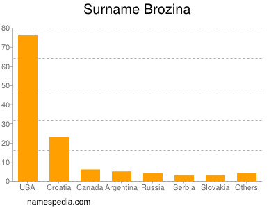 Familiennamen Brozina