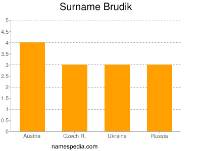 Familiennamen Brudik