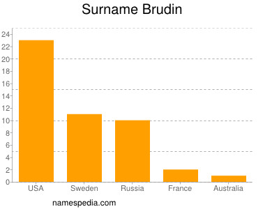 Surname Brudin