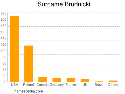 Familiennamen Brudnicki