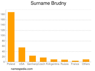 Familiennamen Brudny