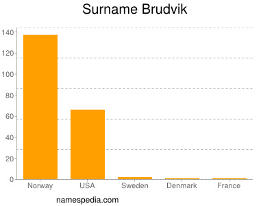 Familiennamen Brudvik