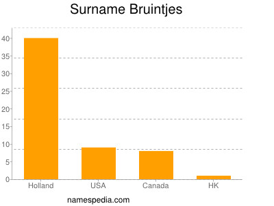 Surname Bruintjes