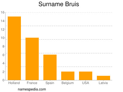 Surname Bruis