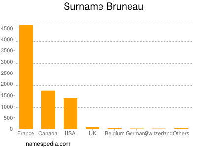 Surname Bruneau