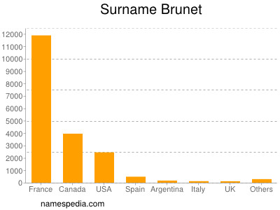 Surname Brunet