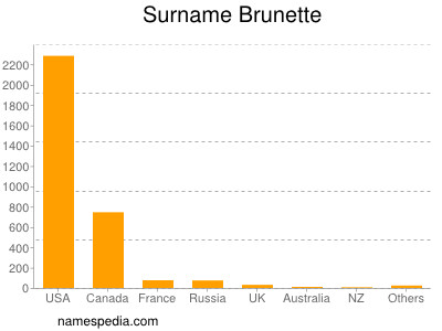 Familiennamen Brunette