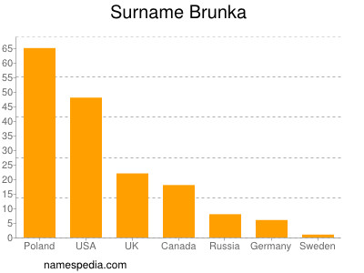 Surname Brunka