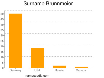 Familiennamen Brunnmeier