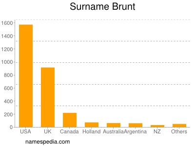 Familiennamen Brunt