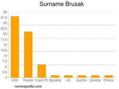 Familiennamen Brusak