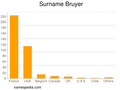 Familiennamen Bruyer