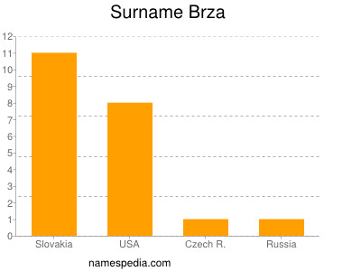 Familiennamen Brza