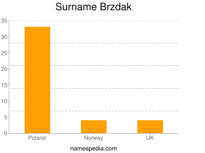 Familiennamen Brzdak