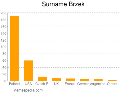 Familiennamen Brzek