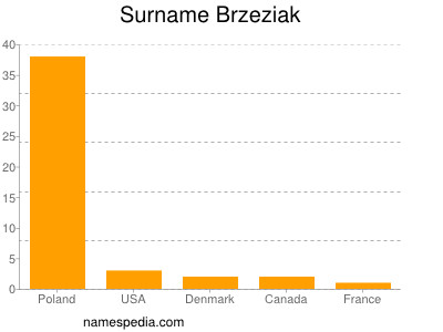 Surname Brzeziak