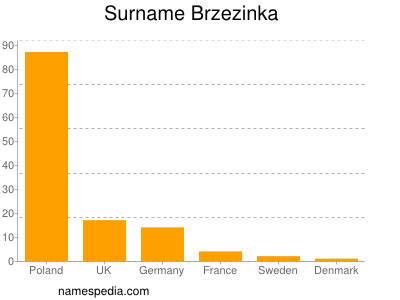 Familiennamen Brzezinka