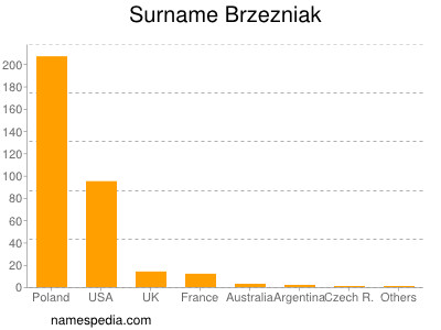 Familiennamen Brzezniak