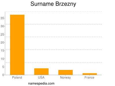 Familiennamen Brzezny