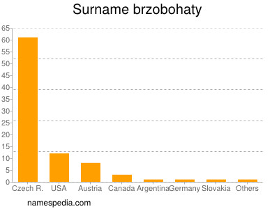 Familiennamen Brzobohaty