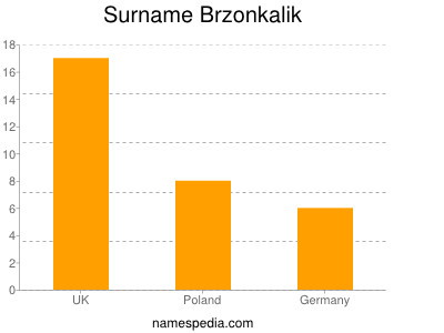 Familiennamen Brzonkalik