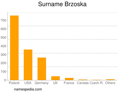 Surname Brzoska