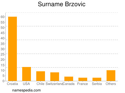 Familiennamen Brzovic