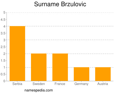 Surname Brzulovic