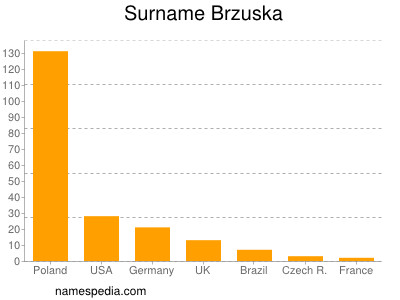 Familiennamen Brzuska
