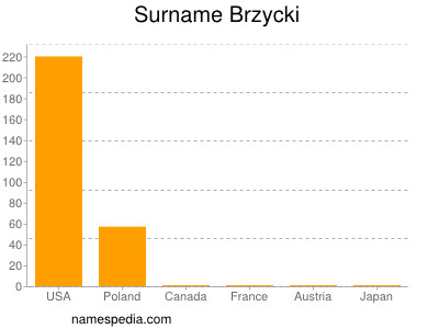 Familiennamen Brzycki