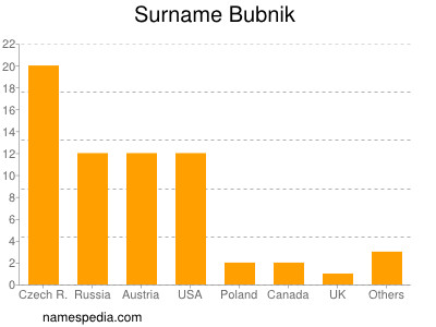 Familiennamen Bubnik