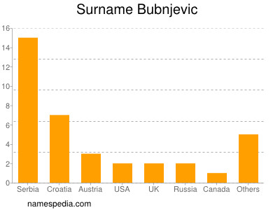 Familiennamen Bubnjevic