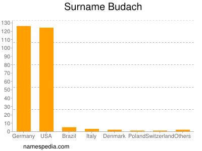 Familiennamen Budach