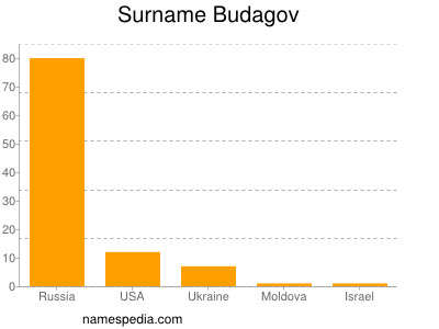 Familiennamen Budagov
