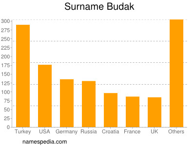 Familiennamen Budak