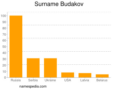 Familiennamen Budakov