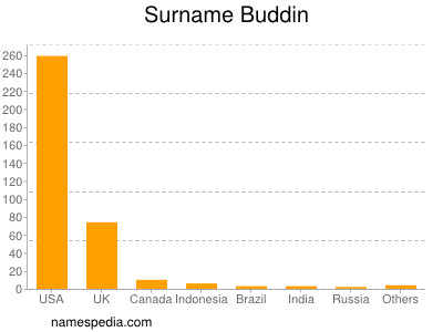 Familiennamen Buddin